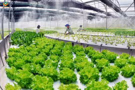 Sau gần 40 năm đổi mới, chúng ta chuyển mình để bước vào kỷ nguyên mới