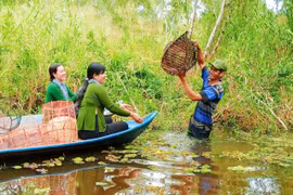 Cà Mau đón 25.382 lượt khách đến tham quan trong ngày mùng 3 Tết