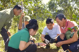 Cách làm hay và sáng tạo trong giảm nghèo bền vững ở Tuyên Quang