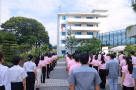 C.P. Việt Nam: Hành trình xanh vun đắp nền nông nghiệp bền vững