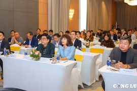 Thúc đẩy hệ sinh thái quảng cáo số Việt Nam