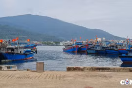 Đầu tư hơn 23.000 tỷ đồng phát triển hệ thống các Cảng biển Đà Nẵng
