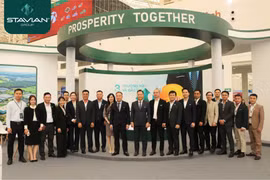 Tập đoàn Stavian tham gia Hội chợ Mùa Thu (VIEE 2025)