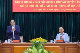 Công bố quyết định kiểm tra của Bộ Chính trị, Ban Bí thư với TPHCM, Bình Dương và Bà Rịa-Vũng Tàu