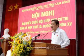 Cử tri Lâm Đồng mong muốn đẩy mạnh xúc tiến thương mại, nâng cao giá trị cho nông sản