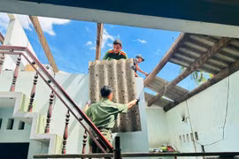 Gia Lai: Hỗ trợ tiền xây dựng, sửa chữa hơn 16.000 căn nhà bị sập và tốc mái do bão Kalmaegi