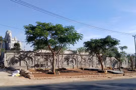 Gia Lai: Xử lý công trình “khủng” ngang nhiên lấn chiếm hơn 1.600 m² hành lang Quốc lộ 25