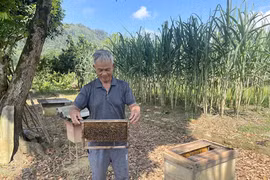Xây dựng mô hình 'kinh tế bạc' thích ứng già hóa dân số tại Việt Nam