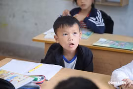 Luật không thể thay thế giáo dục, bởi bạo lực học đường là vấn đề nằm ngoài khuôn khổ pháp lý