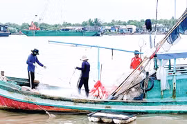 Đông Hải quyết tâm tạo thắng lợi trong năm mới 2025