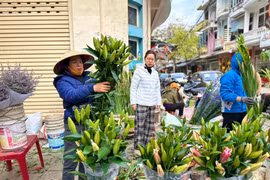 TP Hải Dương: Hoa tươi bình ổn giá, tiểu thương 'đắt hàng' như tôm tươi