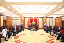 Cận cảnh dàn xe điện đưa đón khách VIP tại Hội nghị Thượng đỉnh P4G