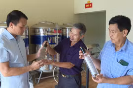 Xây dựng thí điểm mô hình người cao tuổi tham gia đẩy mạnh chuyển đổi số, chuyển đổi xanh, khởi nghiệp, tạo việc làm