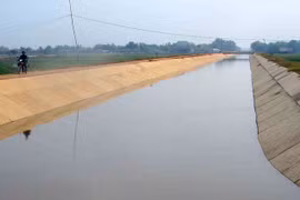 Đầu năm 2025, Thanh tra Bộ Nông nghiệp và Môi trường phát hiện vi phạm về kinh tế số tiền gần 12 tỷ đồng