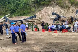 Khởi tố, bắt tạm giam Chi cục trưởng Chi cục Kiểm lâm tỉnh Gia Lai và các thuộc cấp