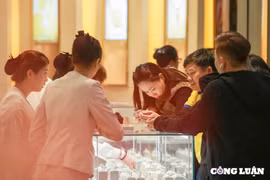 Giá vàng sáng hôm nay 13/1/2026: Giá vàng nhẫn tiếp tục tăng