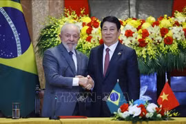Tuyên bố chung Việt Nam - Brazil nhân chuyến thăm cấp Nhà nước đến Việt Nam của Tổng thống Brazil