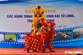 Quảng Ninh: Chính thức khai trương 7 hành trình tham quan du lịch vịnh Bái Tử Long