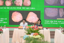 Gia Lai: Đề nghị nâng cấp Di tích Lịch sử - Văn hóa cấp quốc gia Plei Ơi thành di tích quốc gia đặc biệt