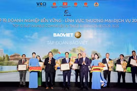 Tập đoàn Bảo Việt nhận danh hiệu Ngôi sao CSI, 10 năm liên tiếp được vinh danh Top 10 Doanh nghiệp bền vững nhất Việt Nam