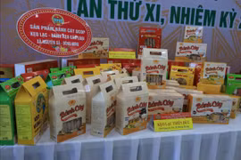 Khoa học công nghệ mở đường cho nông sản Hưng Yên ra thị trường quốc tế