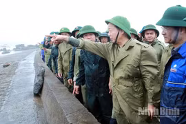 Phó Thủ tướng Trần Hồng Hà kiểm tra công tác ứng phó bão số 10 và khắc phục sự cố sạt lở đê biển ở Ninh Bình
