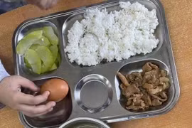 Đình chỉ ăn bán trú, cắt hợp đồng đơn vị cung cấp suất ăn sau sự cố thực phẩm ôi thiu