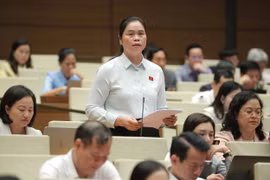 Cần cơ chế ưu đãi mạnh mẽ để thu hút đầu tư vào lĩnh vực thu gom, xử lý chất thải