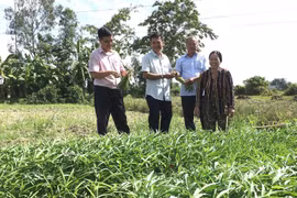 Cần Thơ quyết tâm giảm tỷ lệ hộ nghèo xuống còn 0,63% vào cuối năm 2025