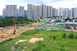 Hoàn thiện cơ sở dữ liệu quốc gia về đất đai trong tháng 6/2025: Nền tảng cho chính phủ số và cải cách thủ tục hành chính
