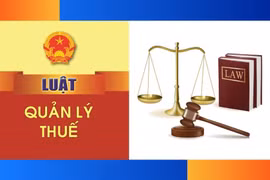 Sửa Luật Quản lý thuế: Đòn bẩy phát triển kinh tế tư nhân và hộ kinh doanh