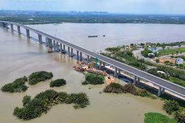 TP.HCM: Cầu Nhơn Trạch sắp hoàn thành nhưng chưa thể kết nối với Vành đai 3