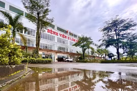 Vi phạm về đấu thầu, Giám đốc và Trưởng phòng Bệnh viện II Lâm Đồng bị bắt tạm giam