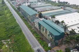Dãy nhà "lạ" mọc ngoài đê sông Đuống: Hà Nội yêu cầu khẩn trương làm rõ