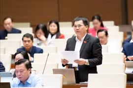 Quốc hội khóa XV năng động, linh hoạt, thích ứng với yêu cầu trong bối cảnh mới