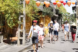 Khách du lịch trốn ở lại, doanh nghiệp lữ hành bị phạt 30–40 triệu đồng