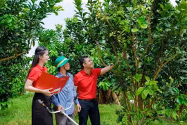Agribank tích cực hỗ trợ hộ kinh doanh chuyển đổi thành doanh nghiệp