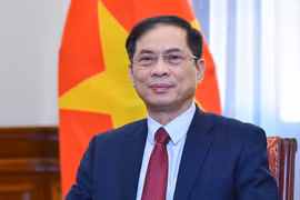 Phó Thủ tướng Chính phủ Bùi Thanh Sơn nhận thêm nhiệm vụ