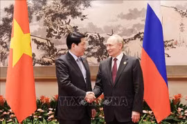 Chủ tịch nước Lương Cường hội kiến Tổng thống Nga Vladimir Putin