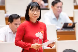 Tạo động lực để doanh nghiệp đồng hành cùng Quỹ hỗ trợ xây dựng chính sách, pháp luật