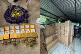 Phá đường dây đa cấp có 7.000 người Việt Nam tham gia, số tiền giao dịch hàng nghìn tỷ đồng
