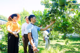 Những cách làm sáng tạo trong giảm nghèo ở Nghệ An