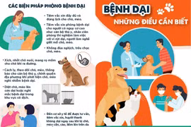 Bộ Y tế cảnh báo nguy cơ, kêu gọi các địa phương đẩy mạnh tiêm phòng và quản lý đàn chó mèo