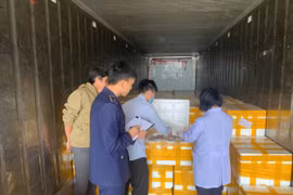 Rùng mình 10 tấn cá khoai nhiễm chất cực độc trên đường đi tiêu thụ khắp miền Trung