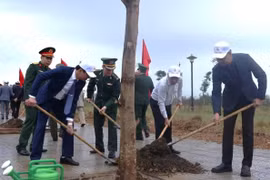 Tết trồng cây - nét đẹp văn hóa, góp phần giảm nhẹ thiên tai