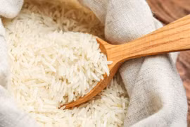 Giá lúa gạo hôm nay 24/10: Giảm nhẹ tại nhiều địa phương, giao dịch trầm lắng