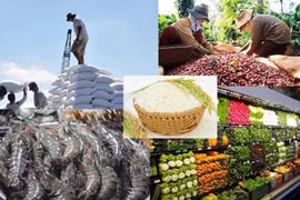 Đề xuất chính sách thuế với hàng hóa nông lâm thủy sản chịu tác động do bất ổn thương mại