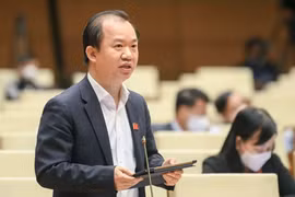 PGS.TS Bùi Hoài Sơn: 'Hủy show phút chót không chỉ là sự cố, mà là phép thử đạo đức và năng lực quản trị của thị trường biểu diễn'