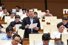 Đại biểu Quốc hội ủng hộ việc mở rộng quy định người Việt Nam có hai quốc tịch