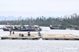 Quảng Ninh hướng dẫn thực hiện thủ tục giao biển nuôi trồng thủy sản
